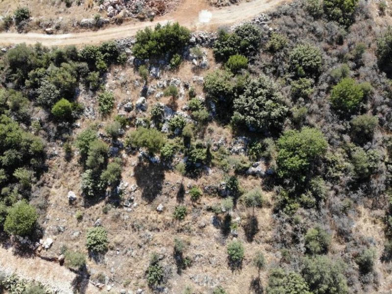 Neo Chorio im Apokoronas Kreta, Neo Chorio: Traumhaftes Grundstück mit Bergblick im Apokoronas zu verkaufen Grundstück kaufen